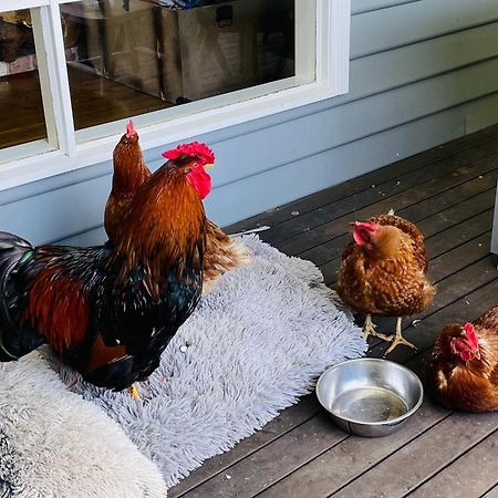 Farm Stay Maple Cottage At Wilindi Estate Tyabb Bagian luar foto