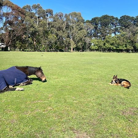 Farm Stay Maple Cottage At Wilindi Estate Tyabb Bagian luar foto