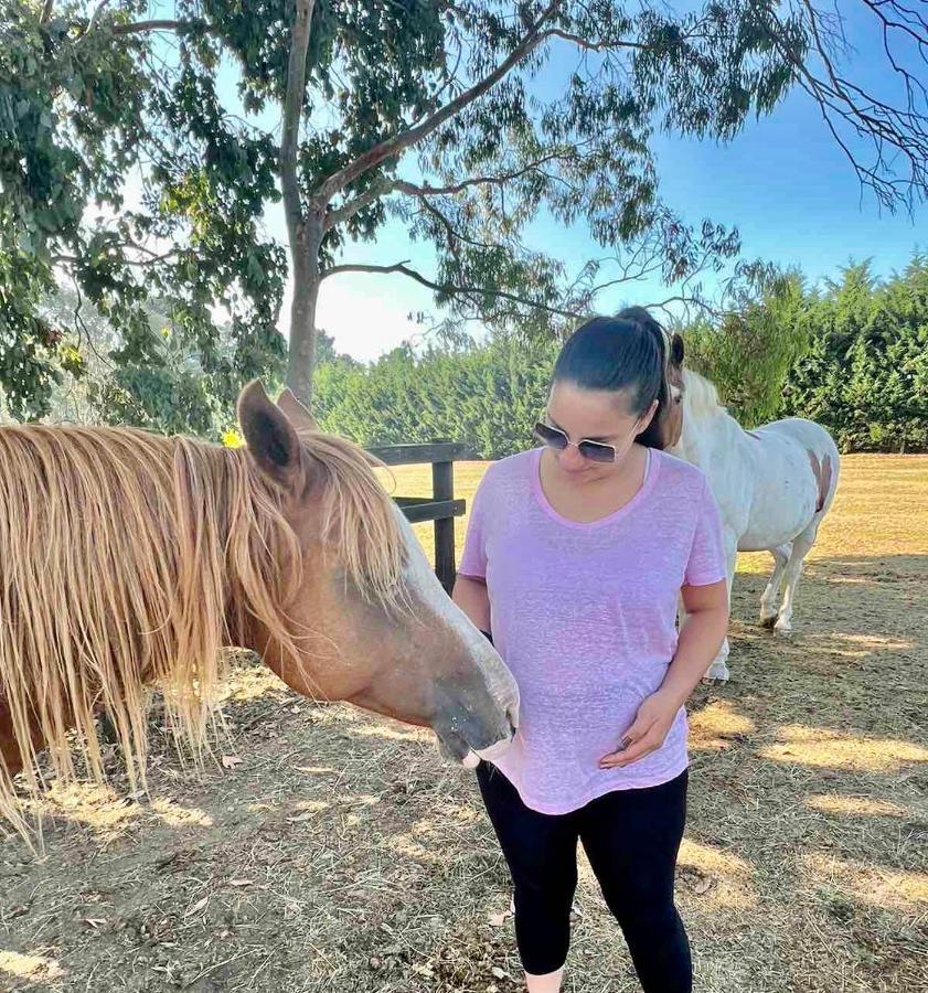 Farm Stay Maple Cottage At Wilindi Estate Tyabb Bagian luar foto