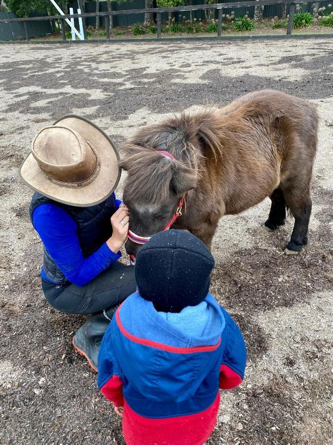 Farm Stay Maple Cottage At Wilindi Estate Tyabb Bagian luar foto