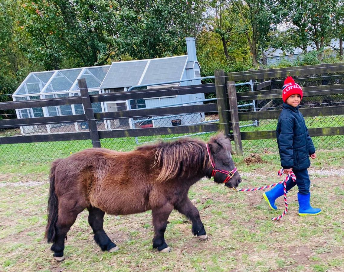 Farm Stay Maple Cottage At Wilindi Estate Tyabb Bagian luar foto