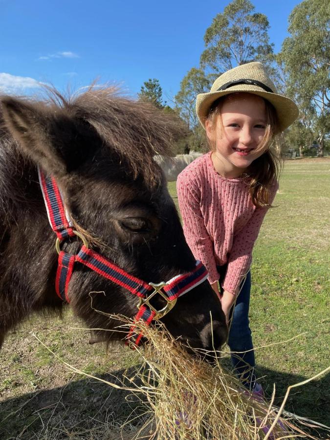 Farm Stay Maple Cottage At Wilindi Estate Tyabb Bagian luar foto