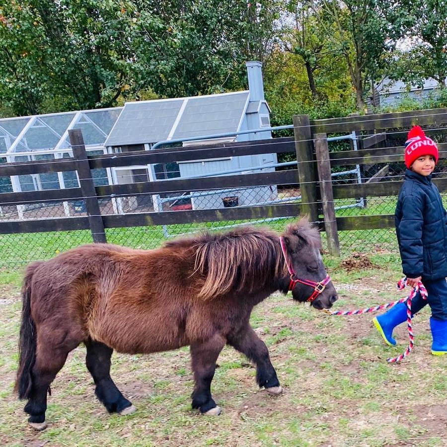 Farm Stay Maple Cottage At Wilindi Estate Tyabb Bagian luar foto