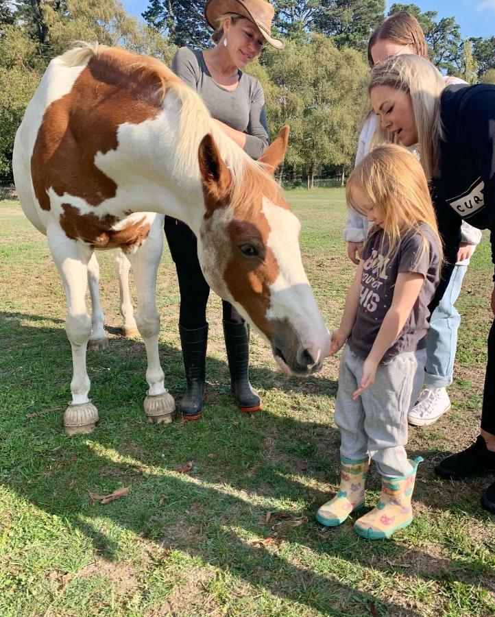 Farm Stay Maple Cottage At Wilindi Estate Tyabb Bagian luar foto