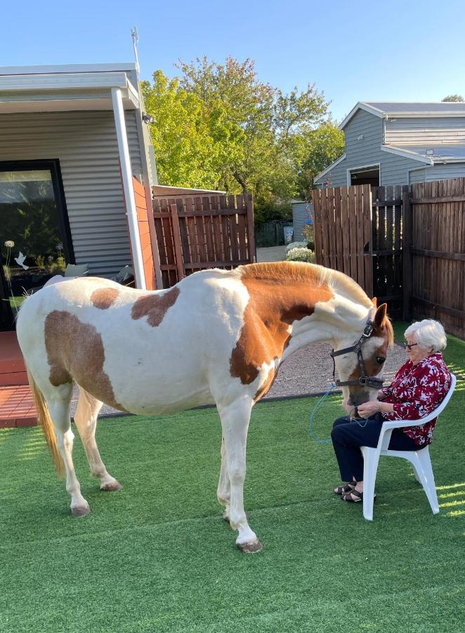 Farm Stay Maple Cottage At Wilindi Estate Tyabb Bagian luar foto