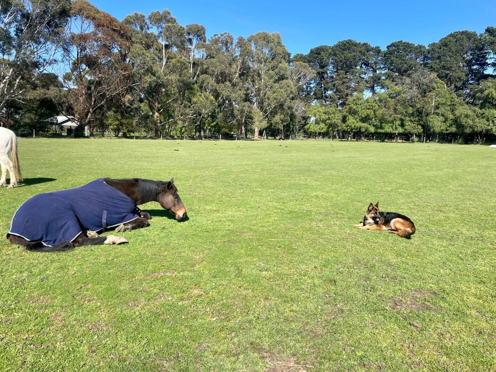 Farm Stay Maple Cottage At Wilindi Estate Tyabb Bagian luar foto